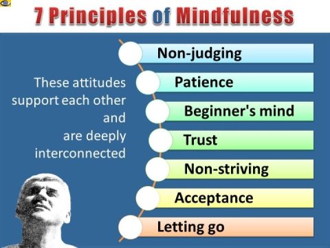 7 princiiples of Mindfulness non-judging patience trust acceptance letting go